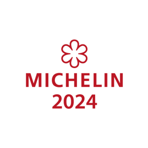 Logo Michelin